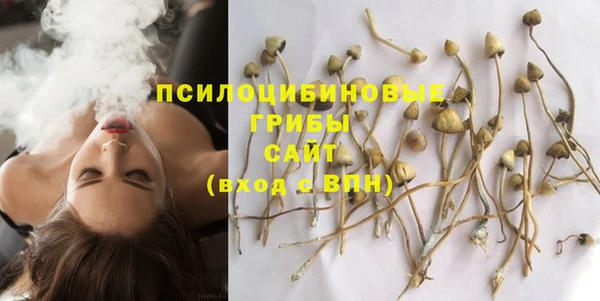 молекула духа Бугульма