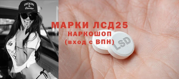 гидра Гвардейск