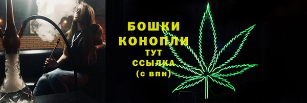 бошки Бородино