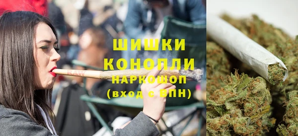 молекула духа Бугульма
