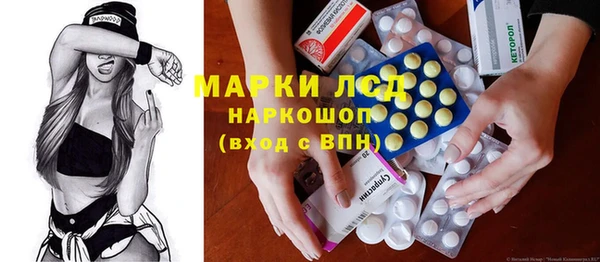 бошки Бородино