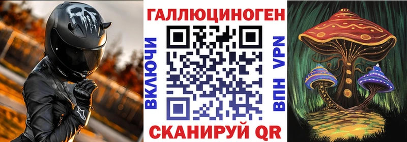 Псилоцибиновые грибы Psilocybe  Волоколамск 