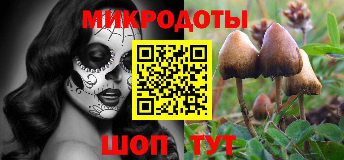 Псилоцибиновые грибы прущие грибы  сколько стоит  Волоколамск  Псилоцибиновые грибы Psilocybe  Вход с VPN 